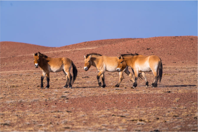 image007.png